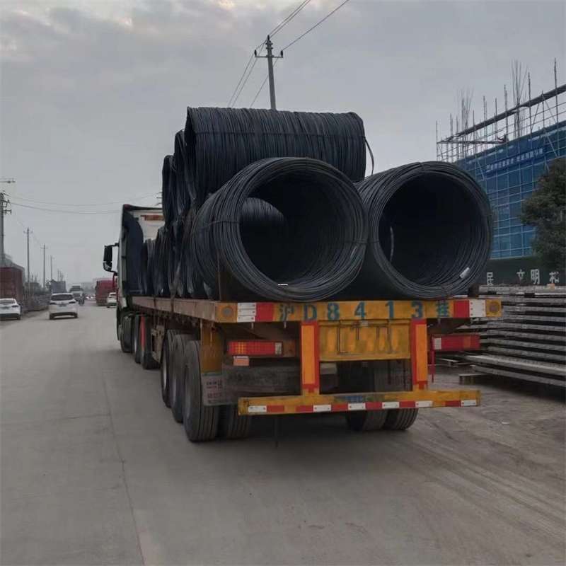 安化县探寻陆川县多元物流运输奥秘