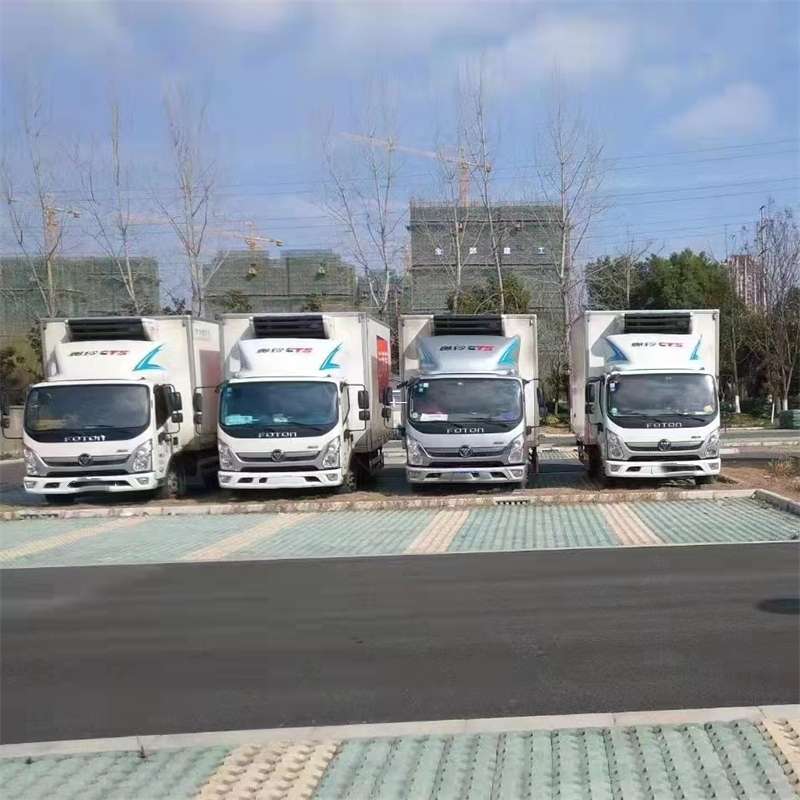 安化县新蔡县物流：多元专线与高效运输探索