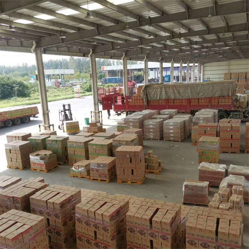 安化县滁州物流：多样运输服务与线路探秘