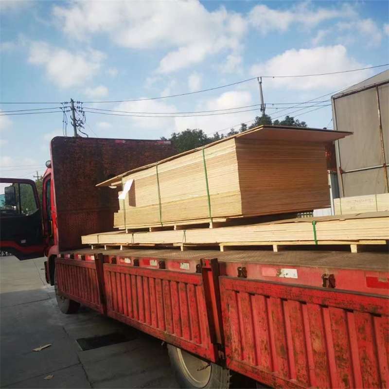 安化县海城市物流：多元运输服务与线路探秘