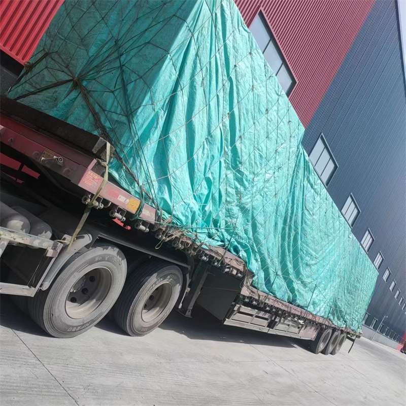 安化县肃南县：物流专线的高效货运之旅