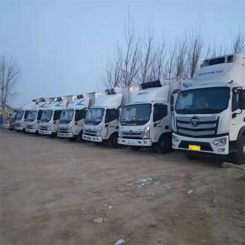 安化县安塞区物流专线：大件货运与出口快运的多维探索