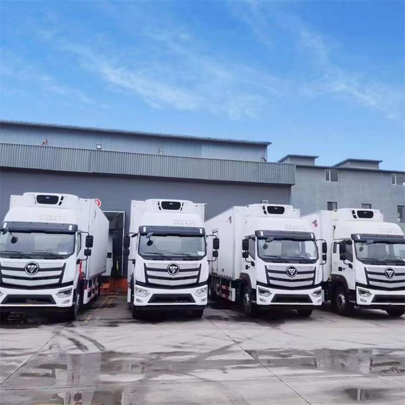 安化县新龙县进仓物流：多元专线直达运输探秘