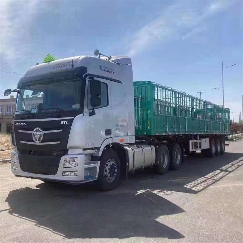 安化县南木林县：物流专线的高效货运之旅